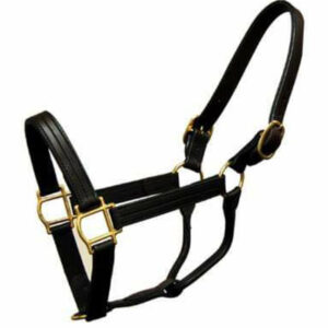 Leather Halter
